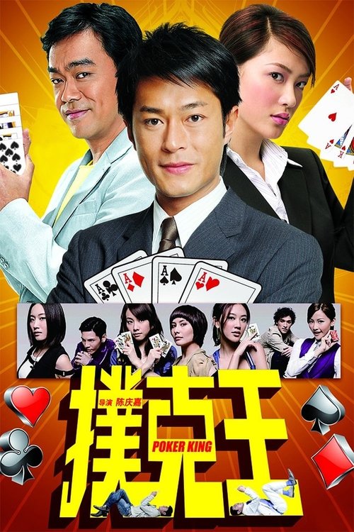 Poker King (2009) poster