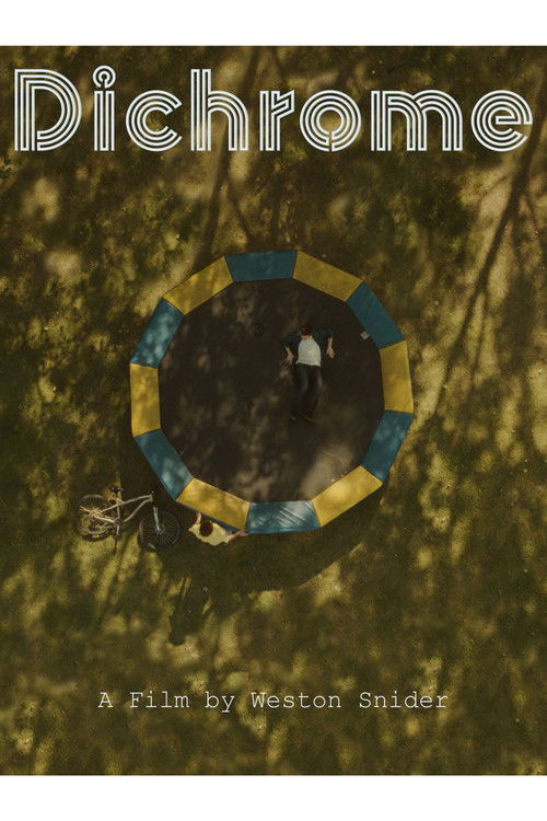 Dichrome (2020) poster