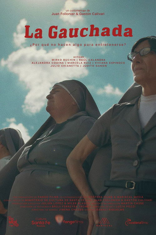 La gauchada (2024) poster