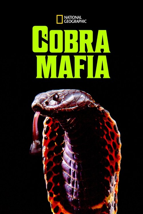Cobra Mafia (2015) poster