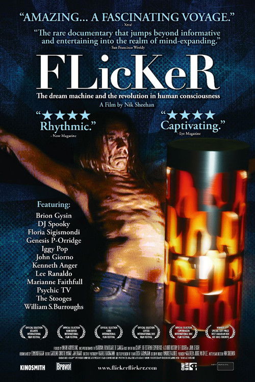 FLicKeR (2009) poster