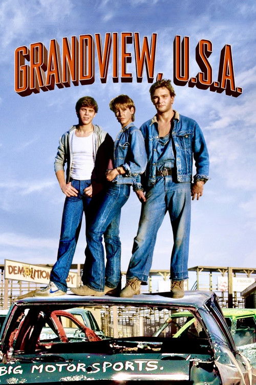 Grandview, U.S.A. (1984) poster
