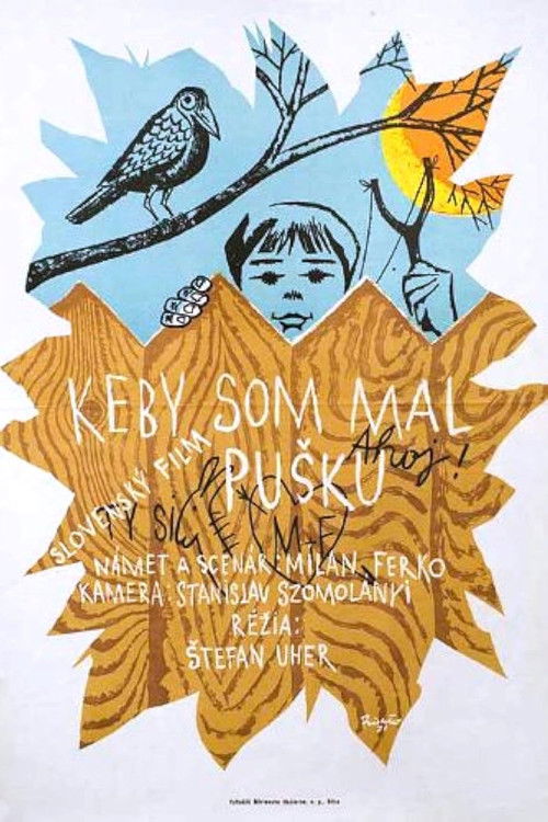 Keby som mal pušku (1971) poster