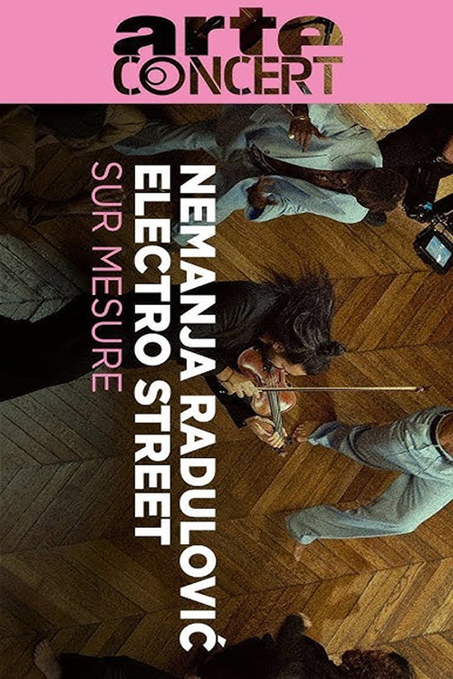 Nemanja Radulović & Electro Street at the Jacquemart-André Museum Paris sur Mesure (2022) poster