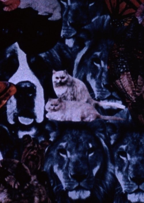 You're Not Real Pretty but You're Mine... (1968) poster