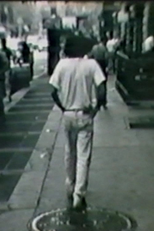 Vision (1989) poster