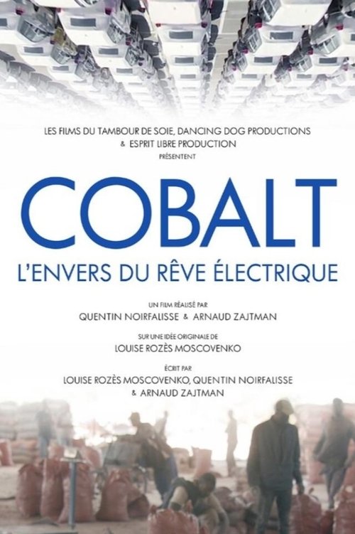 Cobalt Rush: The Future of Going Green (2022) poster