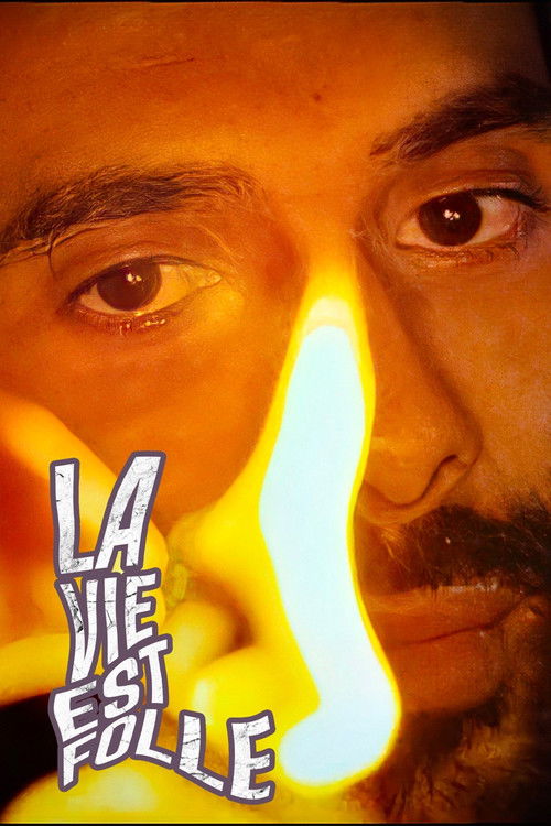 Mustapha El Atrassi - La Vie Est Folle (2020) poster