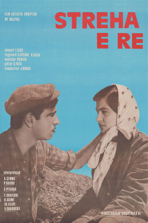 The New Shelter (1977) poster