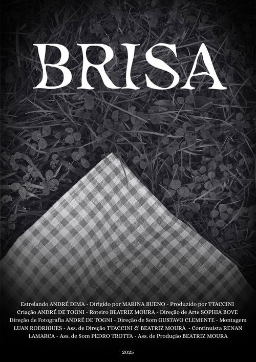 Brisa poster