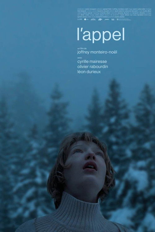 The Calling (2022) poster