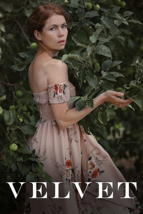 Velvet (2021) poster