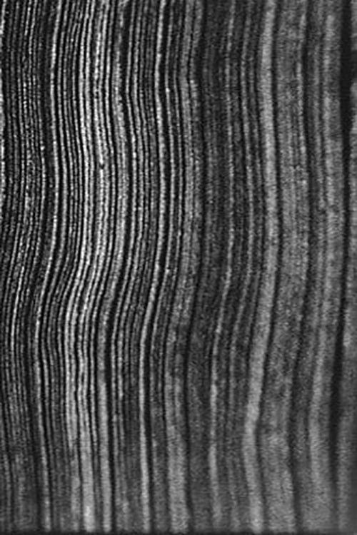 The Great Art of Knowing (2004) poster