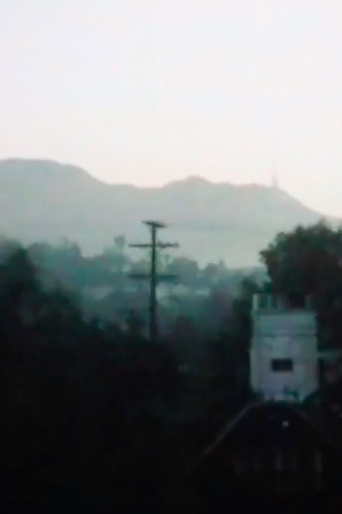 Twelve Years over Hollywood (2020) poster