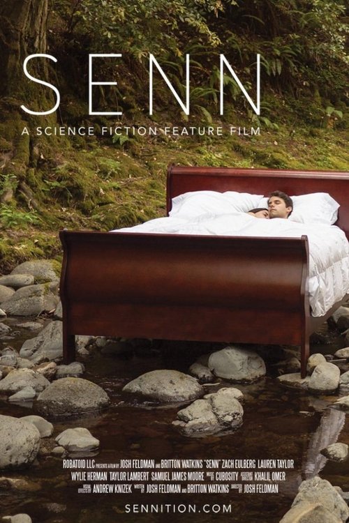 Senn (2013) poster