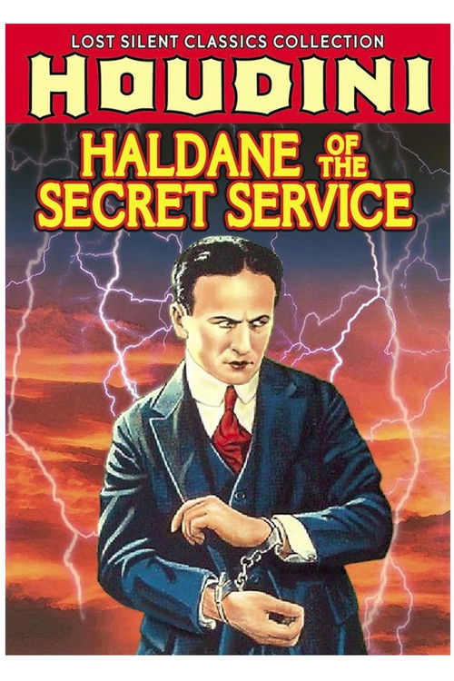 Haldane of the Secret Service (1923) poster