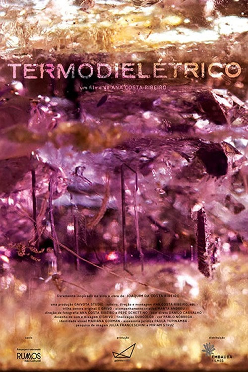Thermodielectric (2023) poster