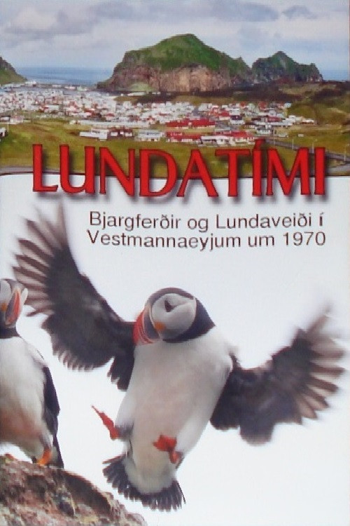 Lundatími (1975) poster