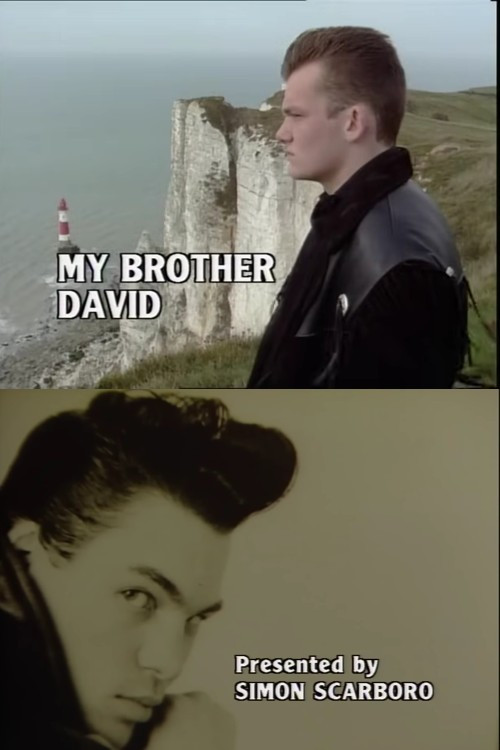 My Brother David (1989) poster