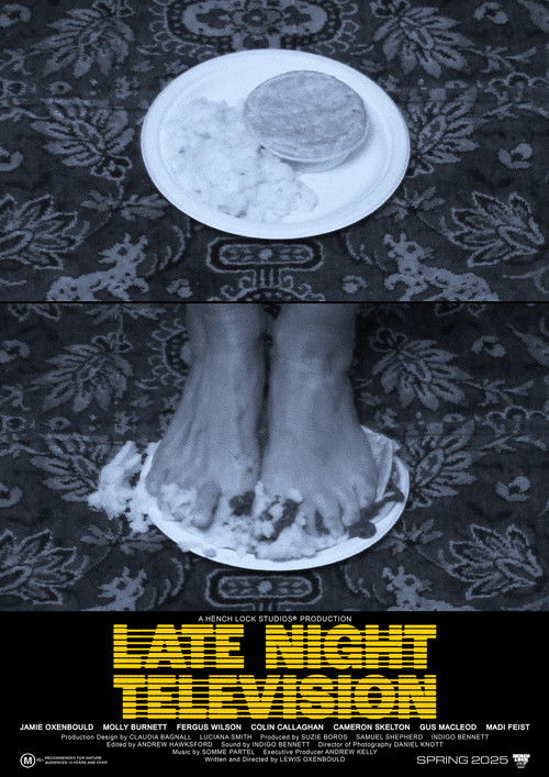 Late Night Television (2025) poster