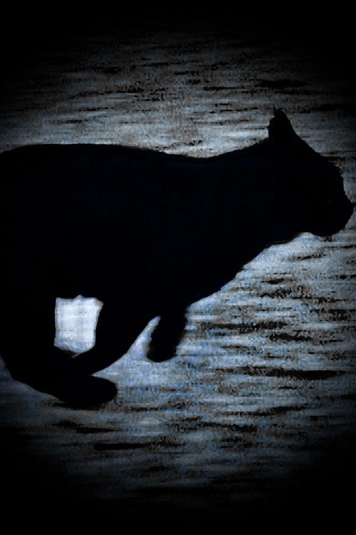 A Black Cat Escapes (2025) poster