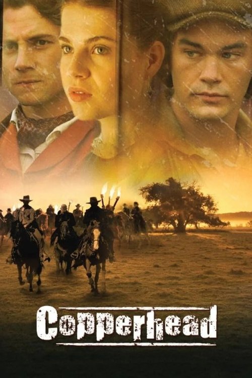 Copperhead (2013) poster