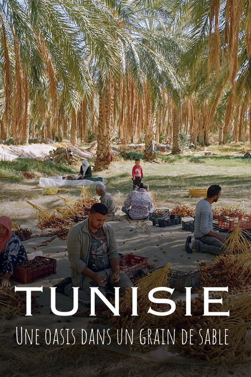 Tunisie : Une oasis dans un grain de sable (2024) poster