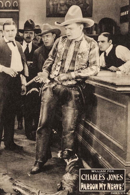 Pardon My Nerve! (1922) poster
