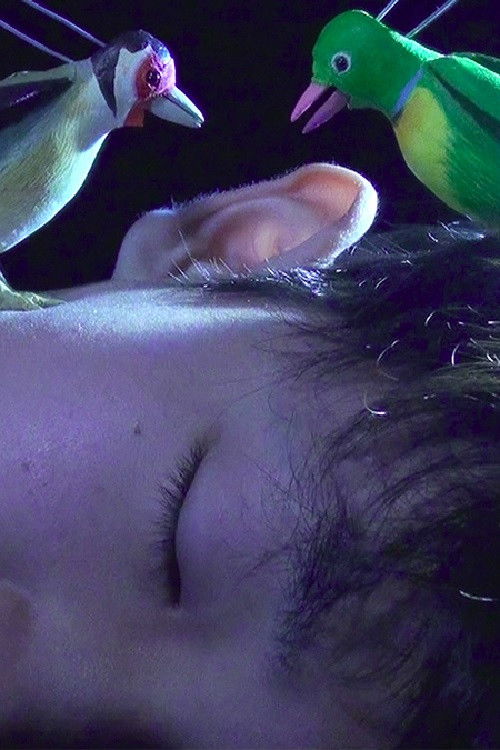 The Princess and the Magic Birds (2021) poster