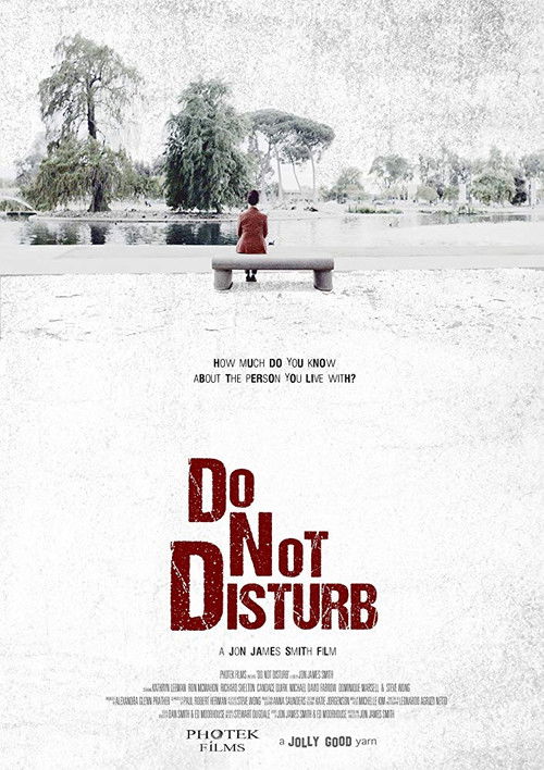 Do Not Disturb (2015) poster
