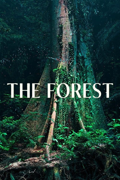 The Forest (2024) poster