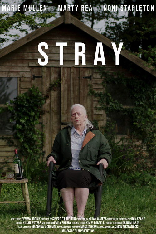 Stray (2019) poster