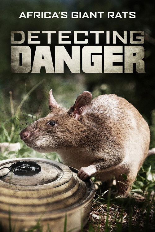 Detecting Danger: Africa's Giant Rats (2019) poster