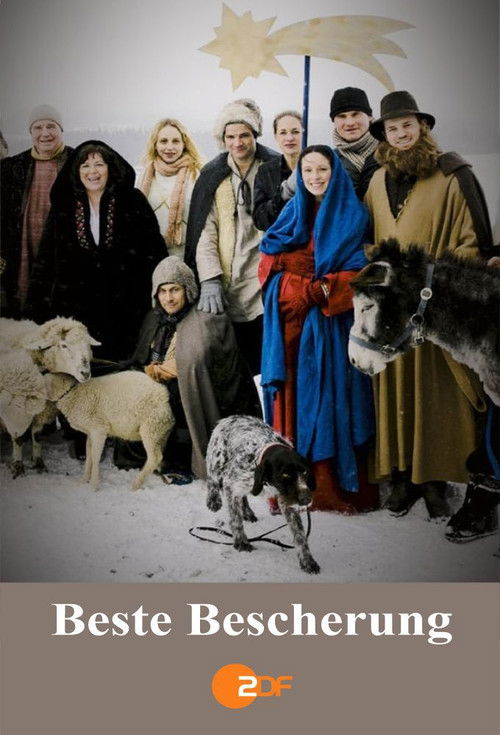 Beste Bescherung (2013) poster