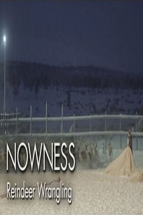 Untold Odyssey: Reindeer Wrangling (2011) poster