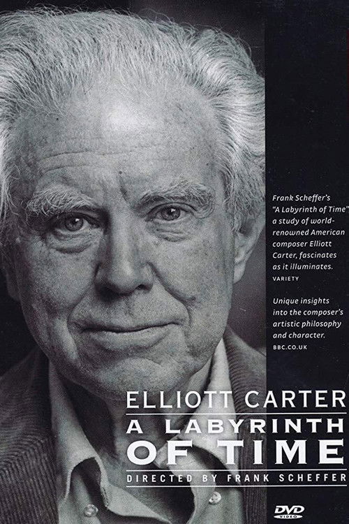 A Labyrinth of Time (2004) poster