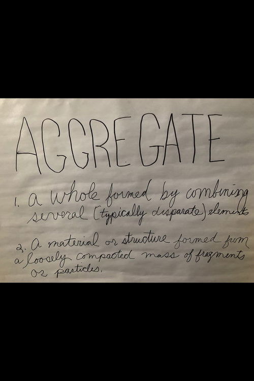 Aggregate (2020) poster