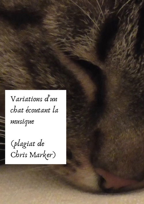 Variations of a cat listening to music (Chris Marker plagiarism) (2024) poster