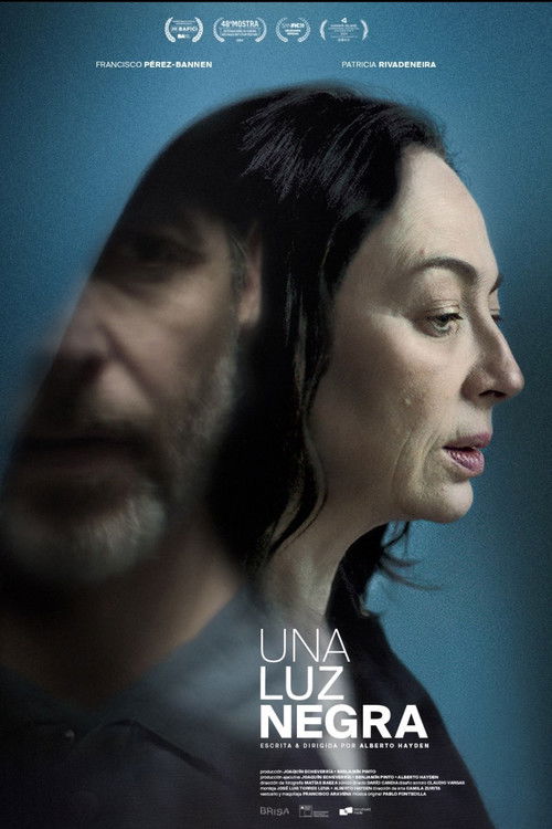 A Dark Light (2024) poster