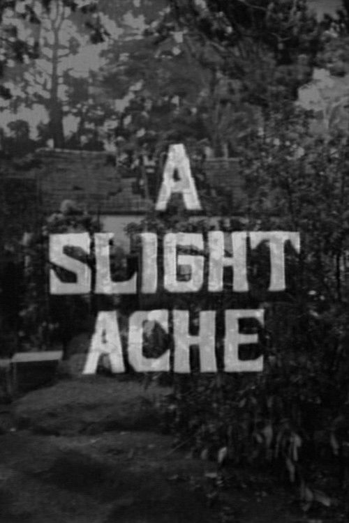 A Slight Ache (1967) poster