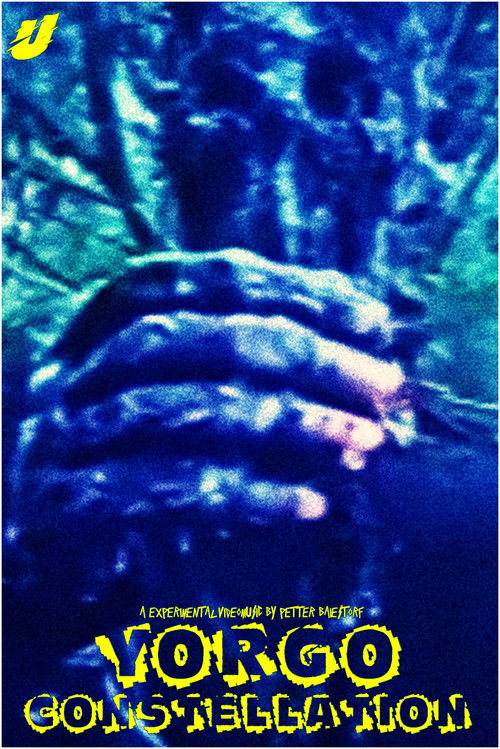 Yorgo Constellation (2025) poster