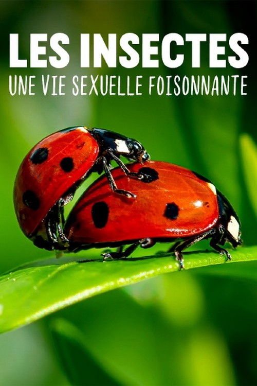Les insectes, une vie sexuelle foisonnante (2023) poster