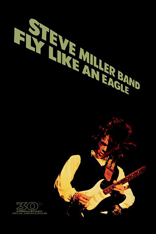 Steve Miller Band: Fly Like an Eagle (2006) poster