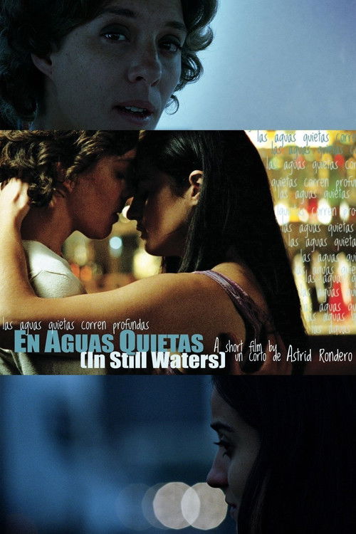 In Still Waters (2011) poster