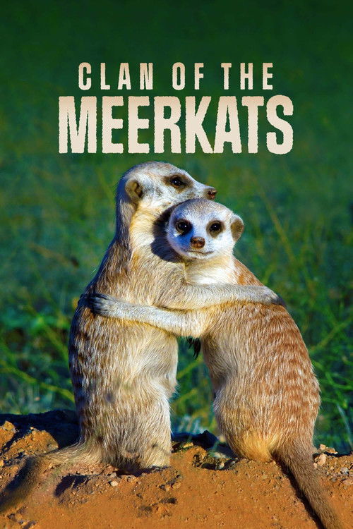 Clan of the Meerkat (2010) poster