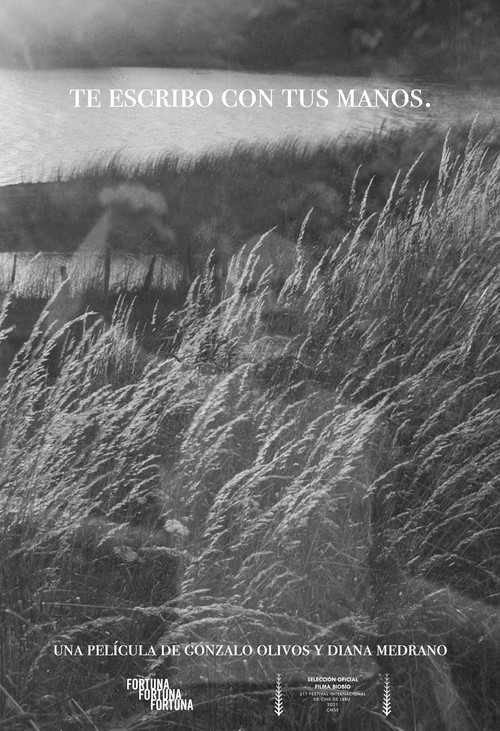 Te escribo con tus manos (2021) poster