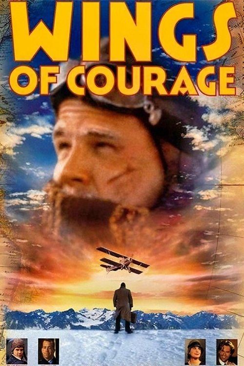 Wings of Courage (1995) poster