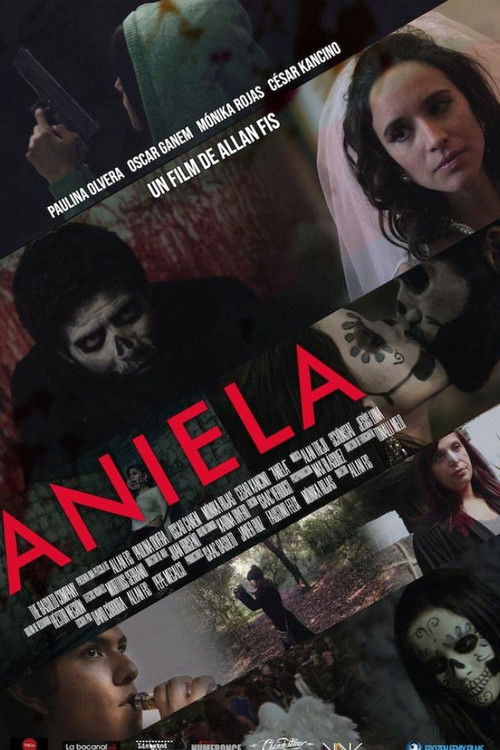 Aniela (2020) poster
