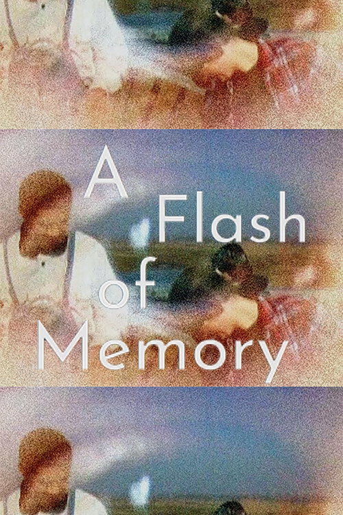 A Flash of Memory (2025) poster
