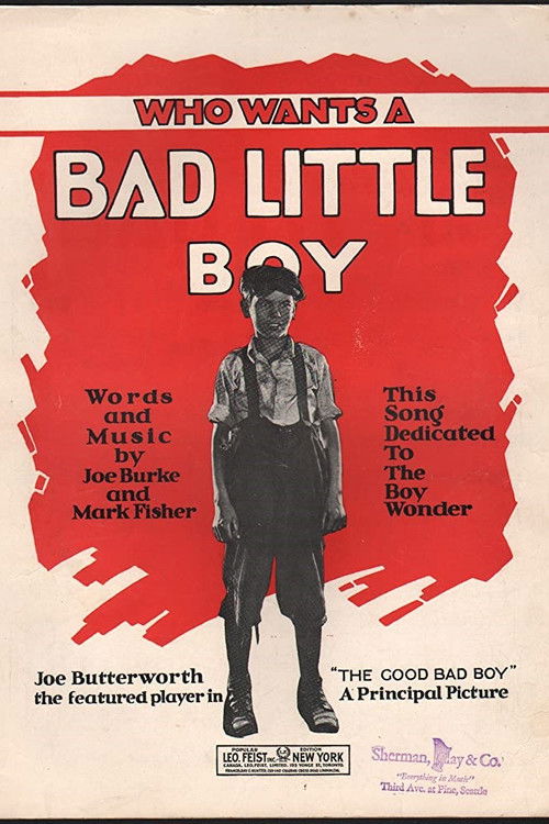The Good Bad Boy (1924) poster